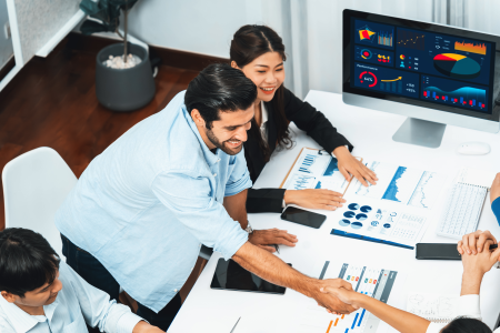 Project Management & Business Analysts